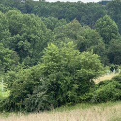 Big Elk Creek State Park - 2025