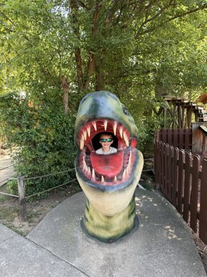 Dinosaur World by null