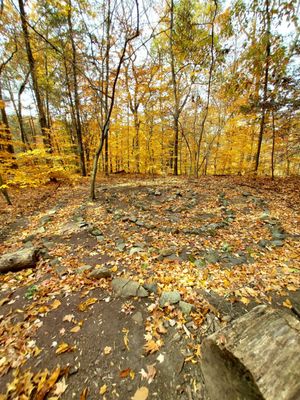 Bowman's Hill Wildflower Preserve by null