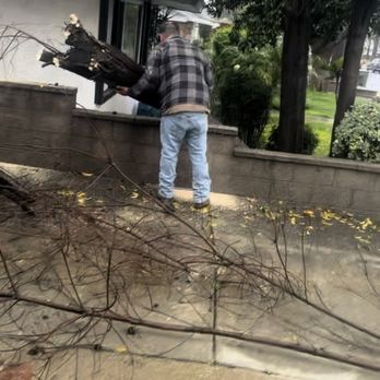 A & J Tree Service - Tree Removal - Tree Services Near Me - Pomona, California A & J Tree Service - Tree Removal - Tree Services Near Me - Pomona, California