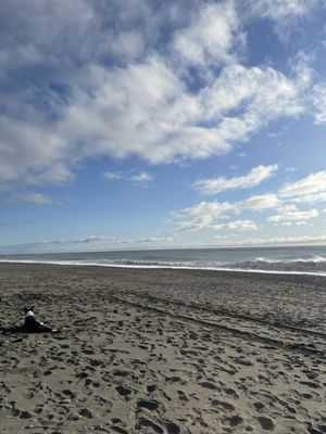 Gold Beach Inn by null