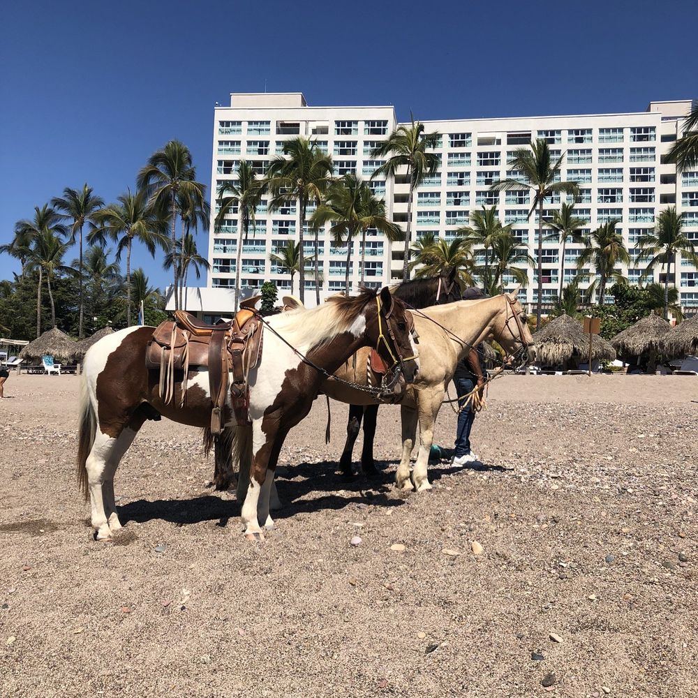 Buganvilas Resort - Vacation Rentals Near Me - Puerto Vallarta, JAL