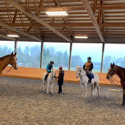 Brindle Ridge Farms - Indoor arena lesson