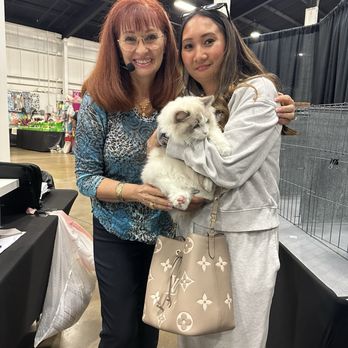 Ragdolljjsweeti - Pet Breeders Near Me