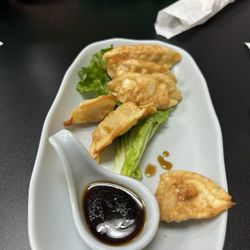 Elena's Noodle Bar - Fried dumplings