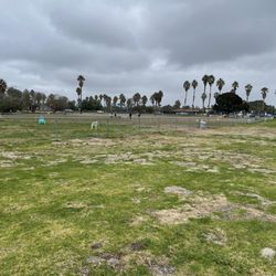 Dog Park