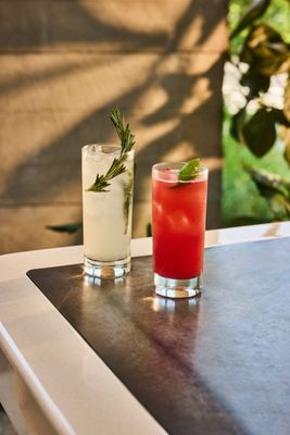 Barbuto Brooklyn by null