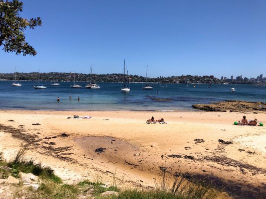 Milk Beach by null