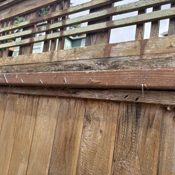 Pacific Land Preservation - Nails sticking out of poorly repaired fence - Tree Services Near Me - Redmond, Washington Pacific Land Preservation - Nails sticking out of poorly repaired fence - Tree Services Near Me - Redmond, Washington