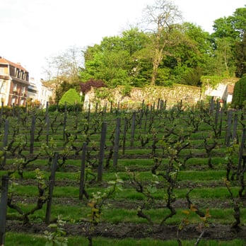 Clos de Montmartre - Wineries Near Me - Paris, 75 Clos de Montmartre - Wineries Near Me - Paris, 75