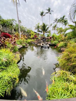 Napili Shores Maui by Outrigger by null