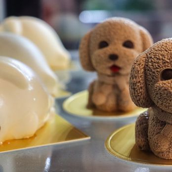 Pink Cactus Tea - a row of teddy bears - Bubble Tea Near Me - Las Vegas, Nevada