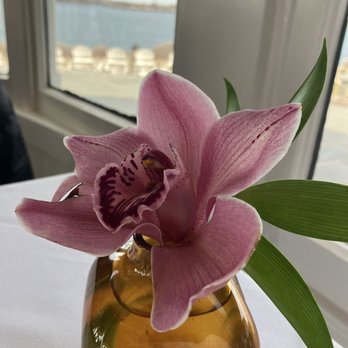 Castle Hill Inn - Beautiful flower arrangement - Hotels Near Me - Newport, Rhode Island Castle Hill Inn - Beautiful flower arrangement - Hotels Near Me - Newport, Rhode Island