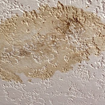 Environmental Testing Associates - Water damage on ceiling material with asbestos content - Environmental Testing Near Me - Portland, Oregon Environmental Testing Associates - Water damage on ceiling material with asbestos content - Environmental Testing Near Me - Portland, Oregon