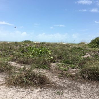 Coquina Beach - Dunes - Beaches Near Me - Bradenton Beach, Florida Coquina Beach - Dunes - Beaches Near Me - Bradenton Beach, Florida