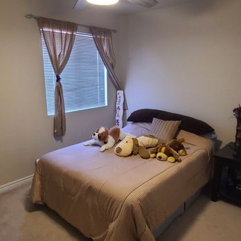 SJO Electrical - Guest room (after) - Electricians Near Me - Las Vegas, Nevada SJO Electrical - Guest room (after) - Electricians Near Me - Las Vegas, Nevada