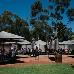 Scotchmans Hill Vineyards - Cellar Door courtyard