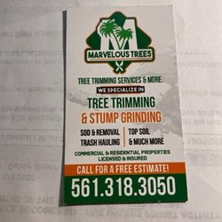 Marvelous Trees Trimming Service - Marvelous Tree Trimming Service
