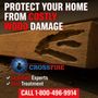 Photo of Crossfire Pest Termites & Rodents