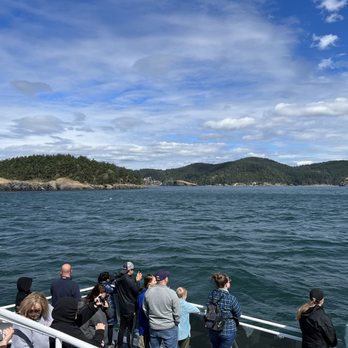 Island Adventures Whale Watching - Boat - Whale Watching Tours Near Me - Anacortes, Washington Island Adventures Whale Watching - Boat - Whale Watching Tours Near Me - Anacortes, Washington