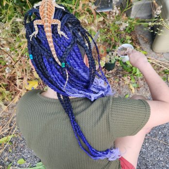Braids by Rhonda - Phoenix can't keep his claws off it lolz - Hair Stylists Near Me - San Jose, California