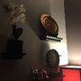 Photo of Sunflower Room