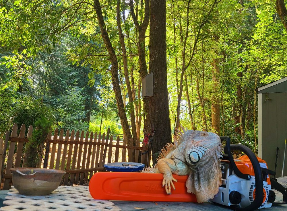 J & I POWER EQUIPMENT Updated October 2024 30 Reviews 3729