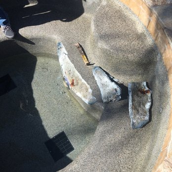 Everything Swimming Pools - Before and after - Pool & Hot Tub Service Near Me - Vista, California
