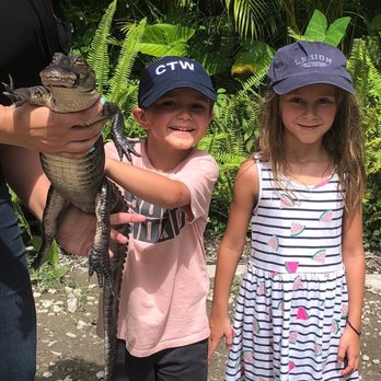 Croc Encounters - Holding a baby gator - Zoos Near Me - Tampa, Florida