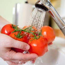 Robert Sessa Plumbing