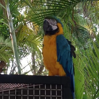 Hyatt Centric Key West Resort & Spa - Odie - Hotels Near Me - Key West, Florida