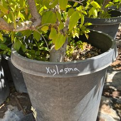 Oak Hills Nursery