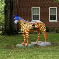 Bellewood Gallopalooza Horse