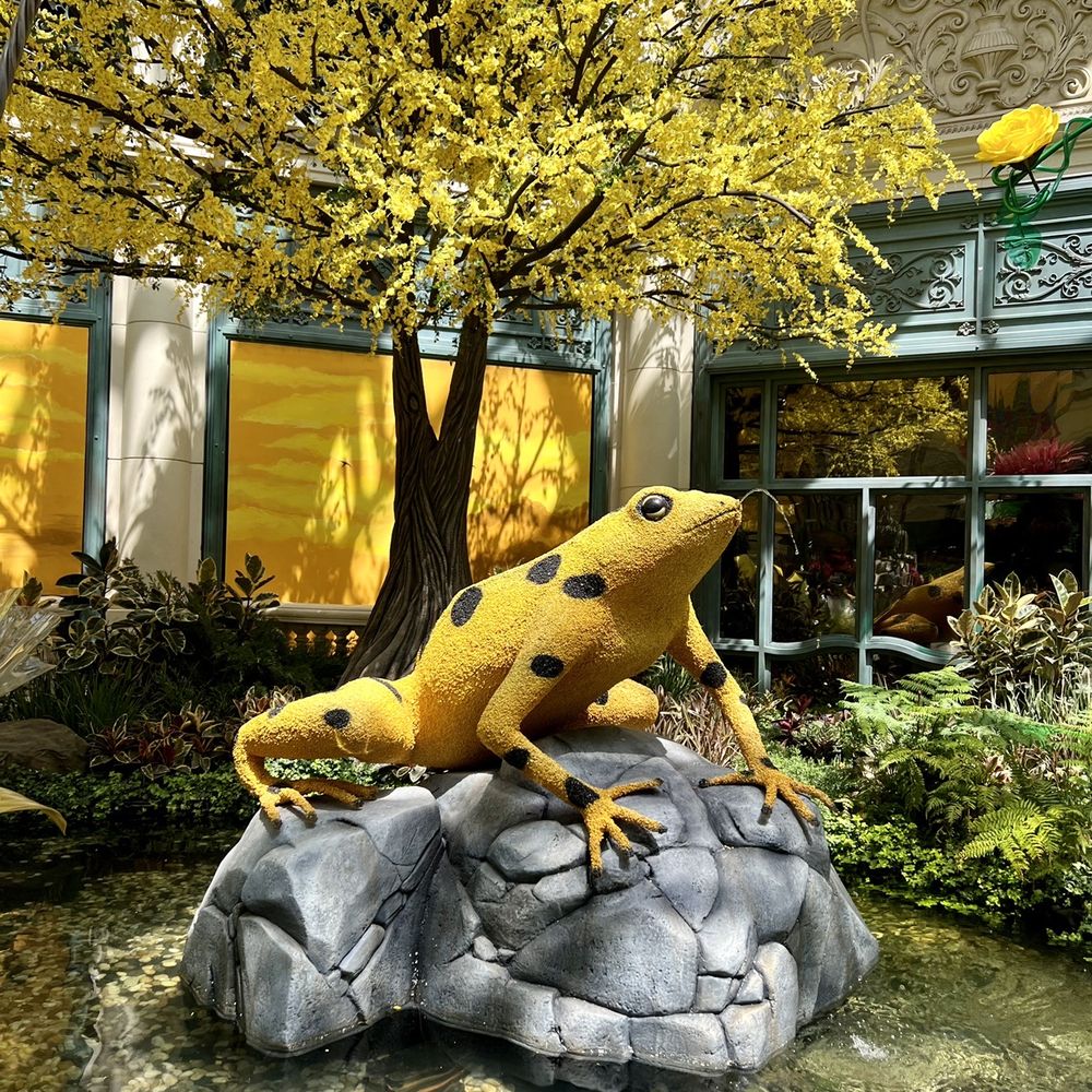 Bellagio - Hotels Near Me - Las Vegas, Nevada