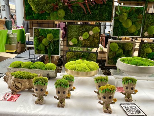 Downtown Summerlin Farmers Market by null