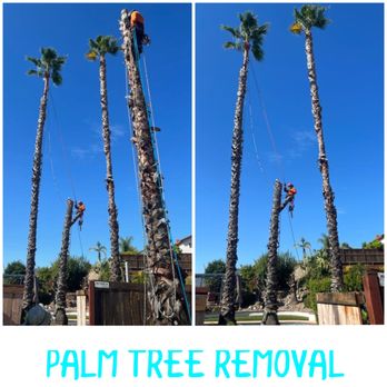 Gomez Tree Service - Tree Services Near Me