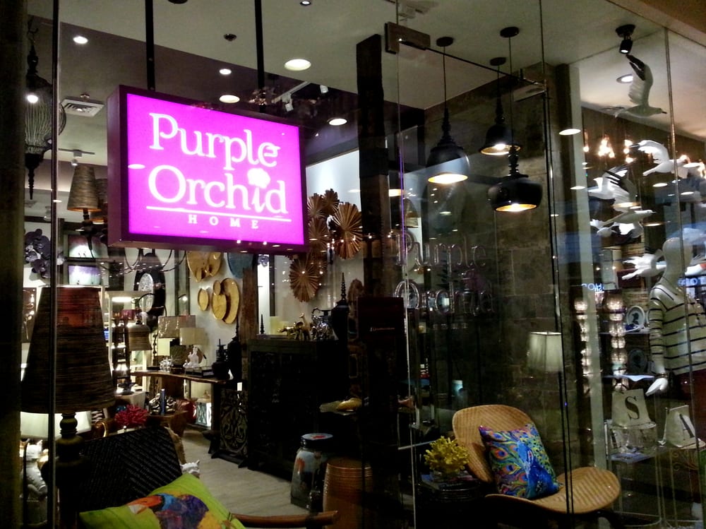 PURPLE ORCHID Updated September 2024 2/F Archaeology Wing, Power