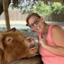 Gulf Breeze Zoo