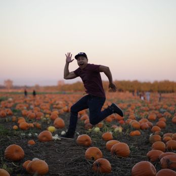 Bishop's Pumpkin Farm - Christmas Trees Near Me - Wheatland, California Bishop's Pumpkin Farm - Christmas Trees Near Me - Wheatland, California