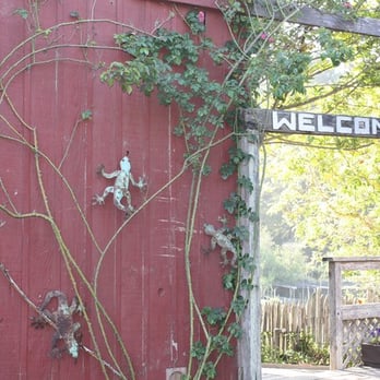 Jug Handle Creek Farm And Nature Center - Entrance - Community Service/Non-Profit Near Me - Caspar, California Jug Handle Creek Farm And Nature Center - Entrance - Community Service/Non-Profit Near Me - Caspar, California