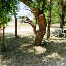 Shaffer Bend Recreation Area