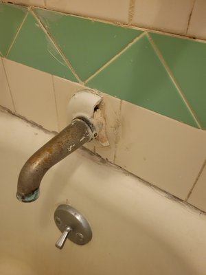 Hotel del Flores by null