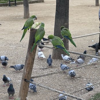 Parc de la Ciutadella - Parks Near Me - Barcelona, B