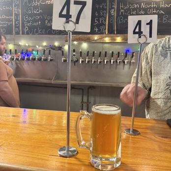 Defiant Brewing Co. - Medusa IPA (6.8% ABV) - Breweries Near Me - Pearl River, New York