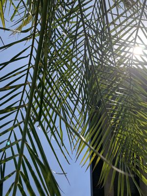 Moxy St. Petersburg Downtown by null