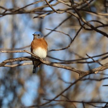 Sedgwick County Park - Parks Near Me - Wichita, Kansas Sedgwick County Park - Parks Near Me - Wichita, Kansas