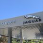 Photo of Jaguar Marin