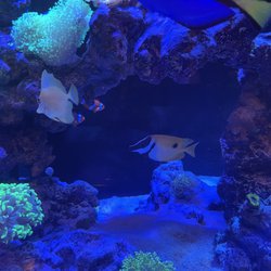 AquaLifeStudio