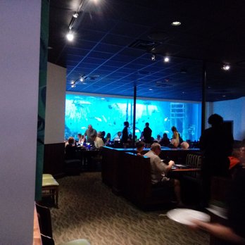 RumFish Grill - Excellent so far - Seafood Near Me - St Pete Beach, Florida