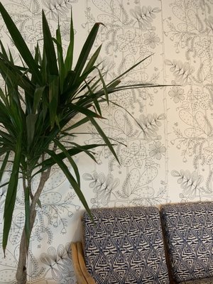 Willow & Wren Cafe' : Coffee, Wine, and Provisions by null